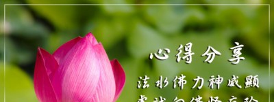 法水佛力神威显 虔诚向佛怪病除