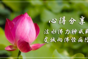 法水佛力神威显 虔诚向佛怪病除