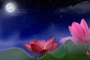羌佛学术论文《贰拾心别》