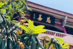 佛教故事：福报如何增长