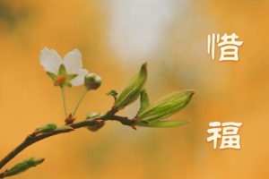 学佛修行 不盗保财