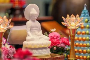 一点一滴熄灭贪嗔痴 —法音学习班上未尽的发言
